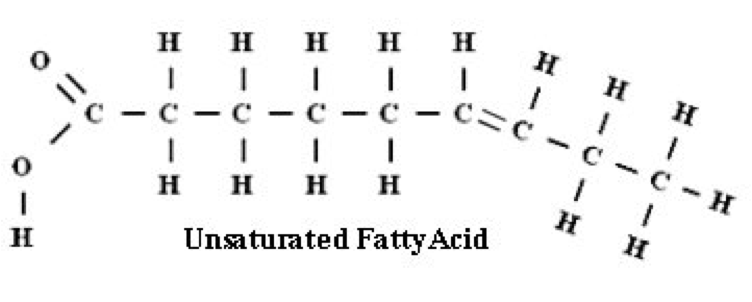 Unsaturated Fat Molecule 3